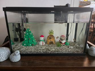 Glass Aquarium, 10-gal --with accesories.