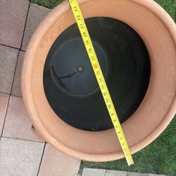 Mexican Pot