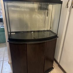 Fish Tank Aquarium 40 Gallon 