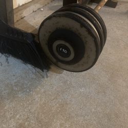 110lb Curling Bar 