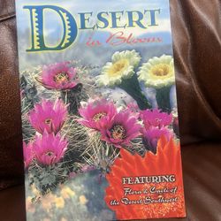 Desert in Bloom - Softcover photography book