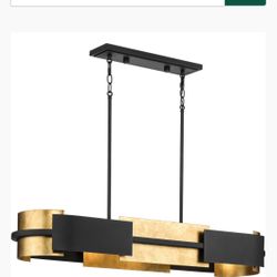 Progress Lighting Brand large hanging fixture $50