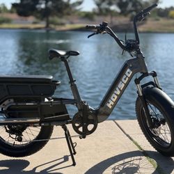 HOVSCO™ HovCart 20“ Step-Thru Electric Fat Tire Cargo Bike