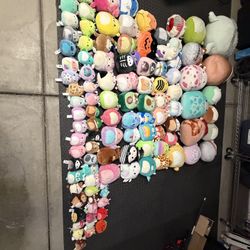 Squishmallows 