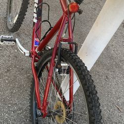 Raleigh M60 Mountain Bike