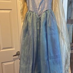 Disney chasing Fireflies Cinderella Dress