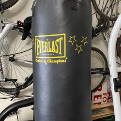 Everlast Punching Bag for MMA-Boxing with Gloves