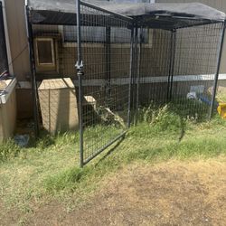 Doggy Cage 