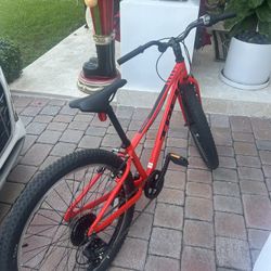 Trek Precaliber 24 8-speed Kids Bike 