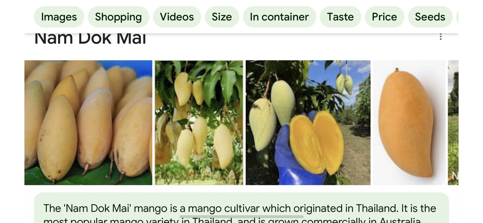 Wants To Buy MAHA CHANOOK, Nam Doc Mai,Carrie ,Valencia Pride Or Similar MANGOES
