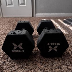 20lb Dumbbell 