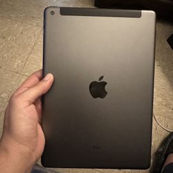 iPad 9th Gen 256GB