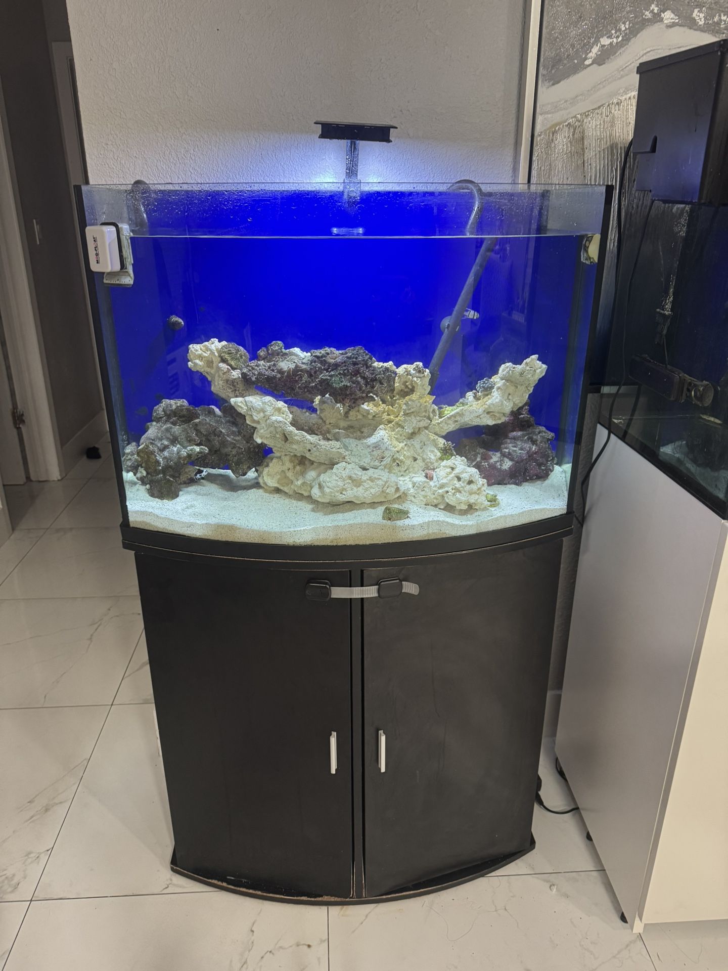 Fish Tank