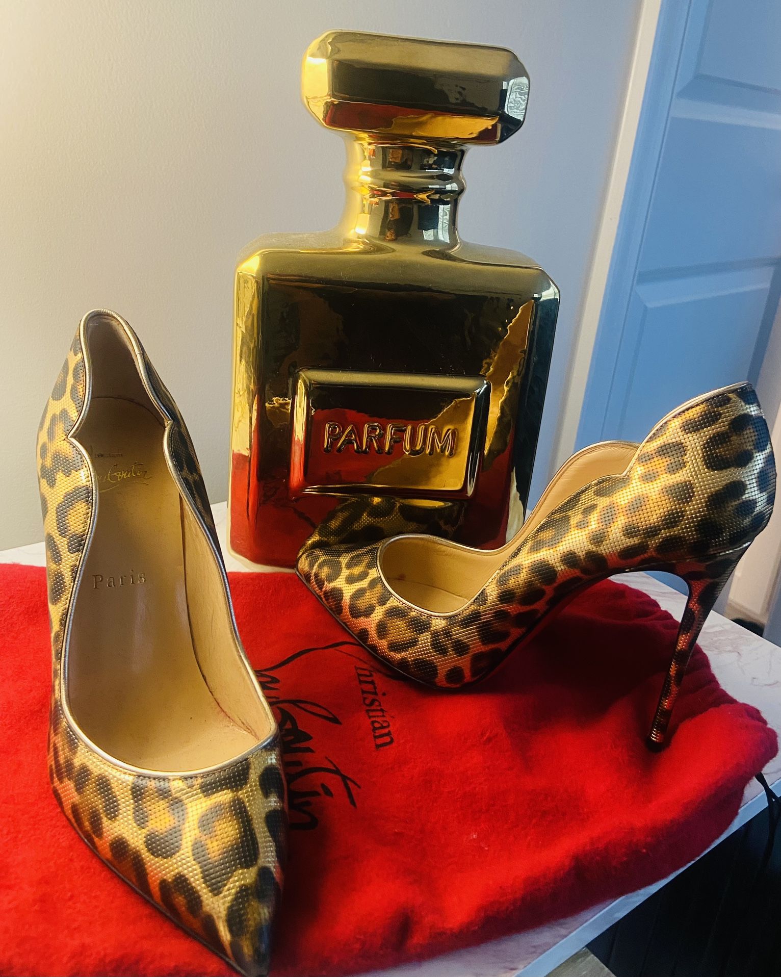 “Hot Chick” Christian Louboutin Shoe