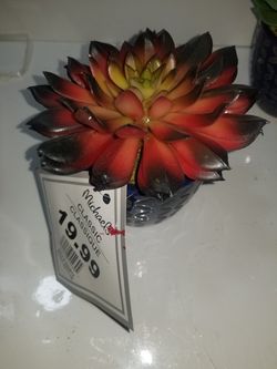 6" Succulent plastic plant/vase. New. $ 20 value