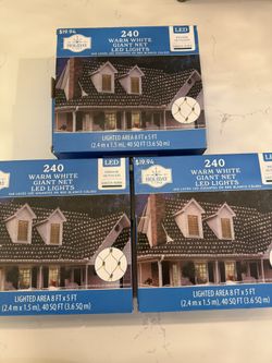 Warm White Giant Net Led Lights