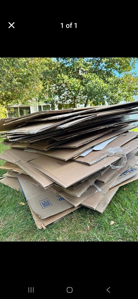 20 Boxes $30
