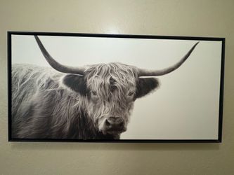 Cow canvas