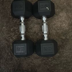 20 Lbs Weights 