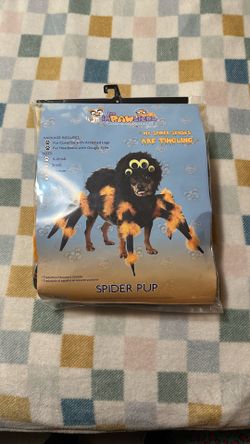 Spider Pup Size   Medium
