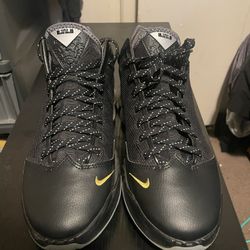 Lebron shoes