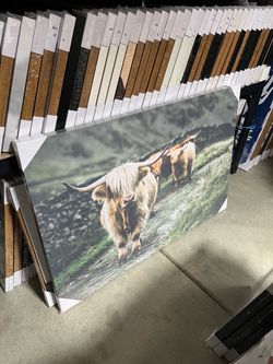 Highland Cow Canvas Wall Art 48" x 32"