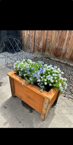 Custom Heavy Duty Cedar Planter Boxes