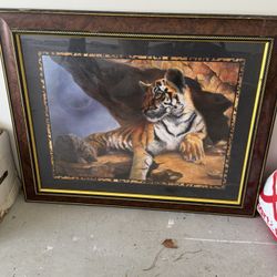 Tiger Picture