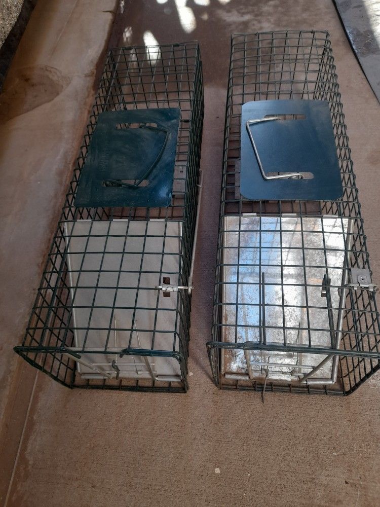 Small Squirrel Trap