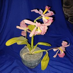 Pretty Pink Iris Flowers In Pot.  Artificial