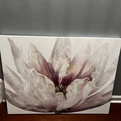 Canvas Picture 