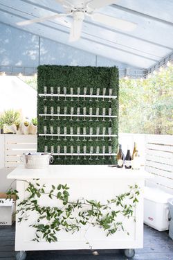 Champagne boxwood hedge Wall For Sale For Weddings And parties  Thumbnail