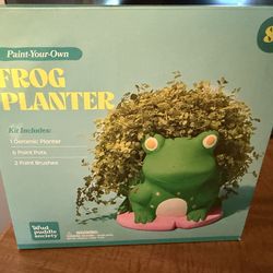 Frog Planter
