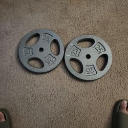 25lb Standard Weight Plates