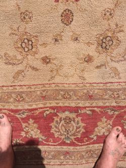 Orientle rug