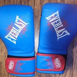 Everlast Boxing/bag Gloves