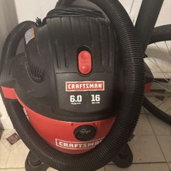 Carpet Cleaner 