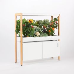 Rise garden. Hydroponic In-home Garden Single Family