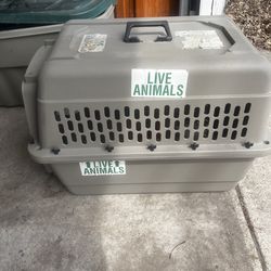 Airline Certified pet carrier.