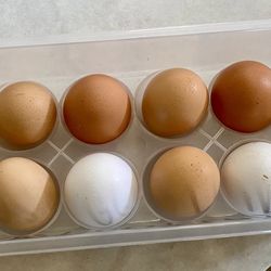Dozen Eggs