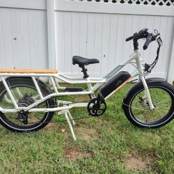 RadWagon 4 Ebike (Read Description)