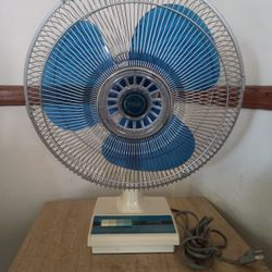  Fan 
