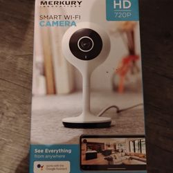Indoor Cameras 