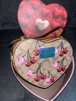 Coach purse ๐