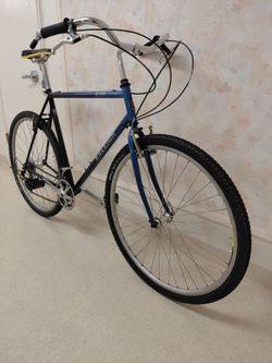 90s Raleigh C-40 City/Trail Cruiser - 23" (Large)