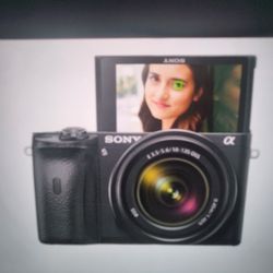 SONY A 6600 W/ G  18-105 Power Zoom Lens
