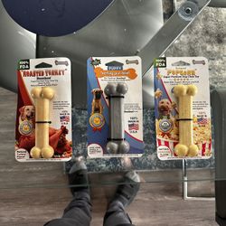 Dog Bone Chewing Toys 