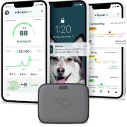 Whistle GO Explore GPS + Health + Fitness Dog Tracker Plus Health & Fitness Monitor
