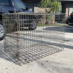  Crate For Dog