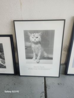 Framed Cat Picture